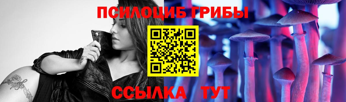 Верхняя Пышма  Галлюциногенные грибы Magic Shrooms  Вход с VPN  Псилоцибиновые грибы Psilocybe 